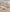 Awaroa-Rug-Truffle-Greige_435x520_b08e1dce-fd38-4ef0-aef3-0b9ded015d56