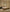 Hara Bed Frame