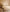 Tristen Bed Frame