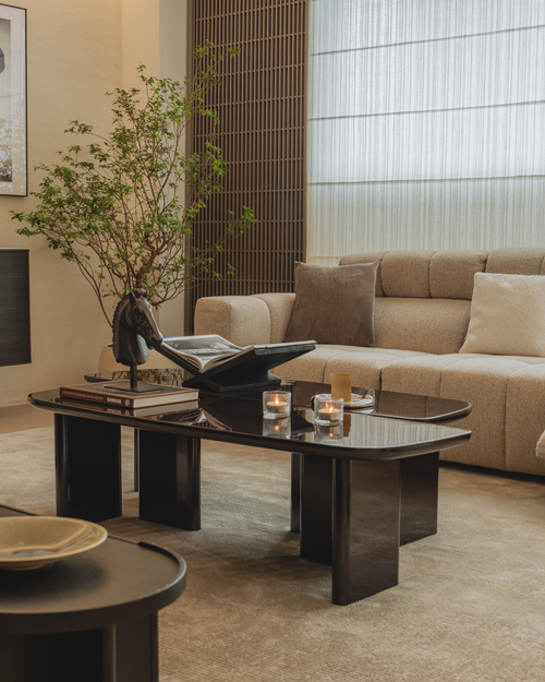 Modern living room with a beige sofa, dark wooden coffee table, and decorative elements.