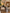 Pearson Swivel Dining Chair