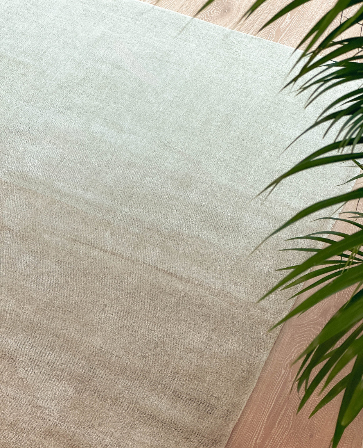 [NEW] Kiton Tencel Rug - Seashell Beige