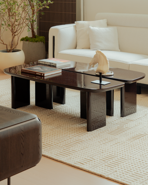 Modern living room with a white sofa, dark coffee table, and decorative items.
